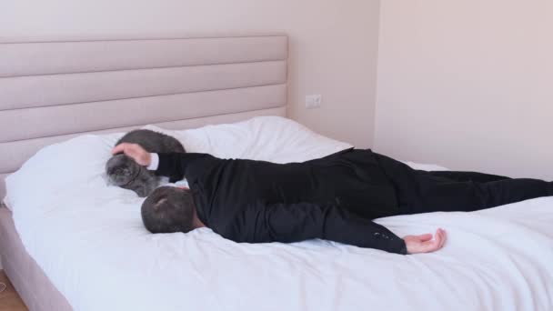 累了的商人抚摸躺在床上的小猫 那人没有脱衣服就上床睡觉了 工作天结束 — 图库视频影像