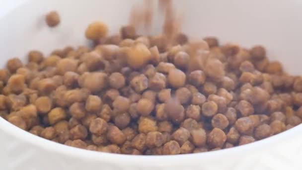 Super Slow Motion Dry Dog Food Poured White Container Useful — Vídeo de Stock