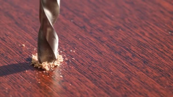 240 Fps Super Slow Motion Drill Drill Wood Shavings Carpentry — Stock video