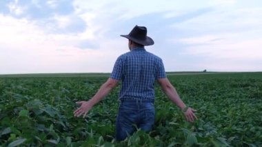 A happy enthusiastic farmer in the middle of a young soybean plantation. Agricultural plantations of Ukraine. Export of soybeans. Beans