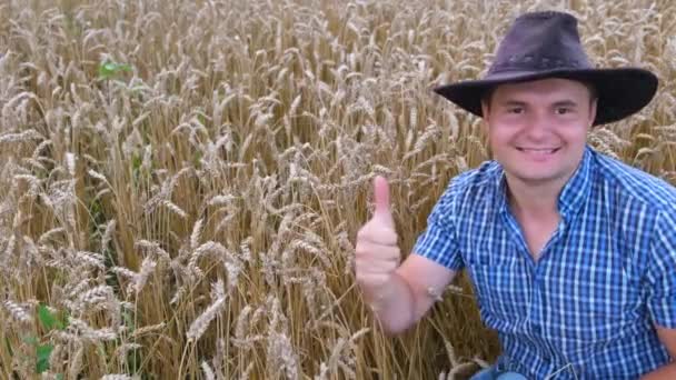 Satisfied Young American Farmer Hat Showing Thumbs Ripe Ears Wheat — Wideo stockowe