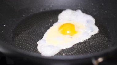 Kızartma tavasında yumurta, ayçiçeği yağında, yakın plan. 4k video
