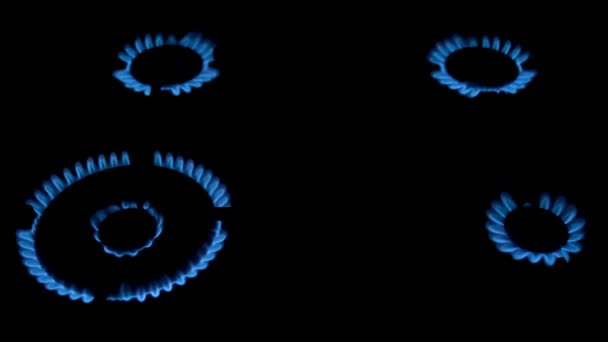 Egy Tűz Gáztűzhelyen Egy Gázégő Kék Lángja Sötétben Földgáz Felhasználás — Stock videók