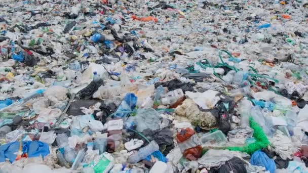 米国サンペドロにプラスチック廃棄物Cabrilloビーチと汚染されたビーチ プラスチック廃棄物の世界的な問題 — ストック動画