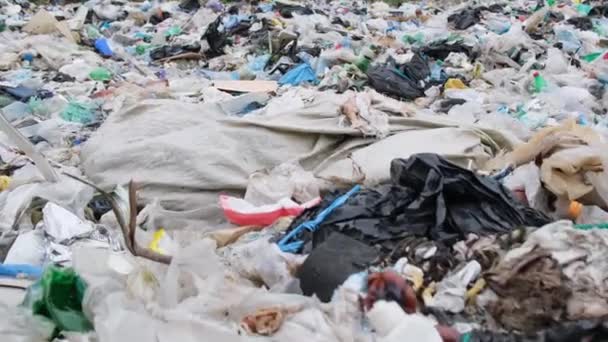 Μολυσμένες Παραλίες Πλαστικά Συντρίμμια Πλαστικά Απόβλητα Ρύπανση Του Περιβάλλοντος Περιβαλλοντική — Αρχείο Βίντεο