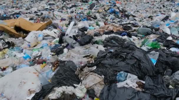 斯里兰卡的海滩被塑料垃圾污染了印度洋塑料废物的全球问题 — 图库视频影像