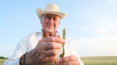 Satisfied and happy grandfather in hat and embroidered shirt holding ear of corn and looking at camera. Happy people