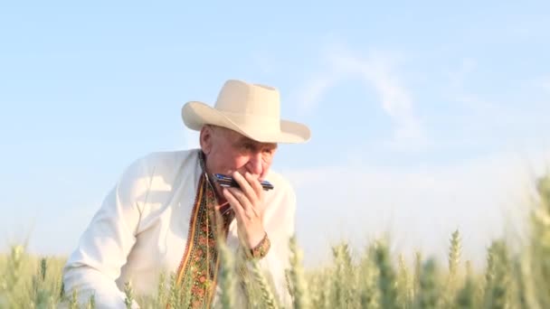 Пожилой Человек Шляпе Играет Гармошке Посреди Пшеничного Поля Возраст Одиночество — стоковое видео