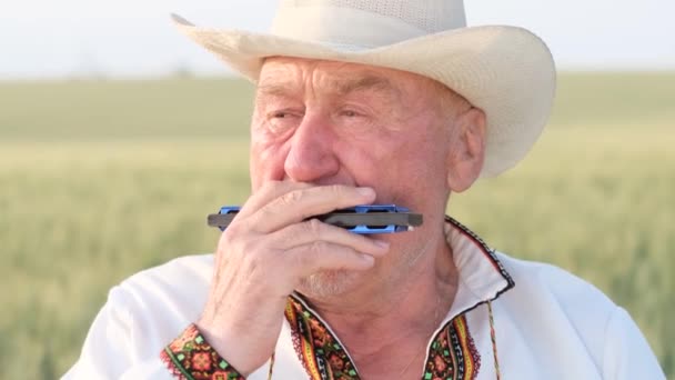 Lonely Talented Elderly Man Ukrainian National Clothes Plays Mouth Organ — Video