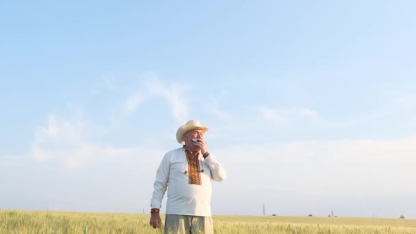 Літній Український Чоловік Капелюсі Грає Губній Гармоніці Стоячи Посеред Поля — стокове відео