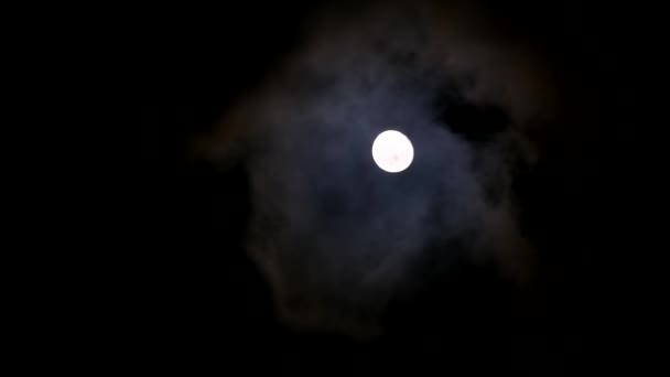 Ein Vollmond Dunklen Himmel Dessen Strahlend Weißer Himmelskörper Scharfem Kontrast — Stockvideo