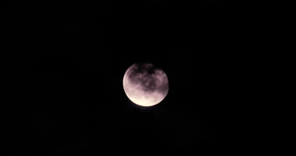 Volle Maan Aan Een Donkere Hemel Met Nachts Bewolking Astrologie — Stockvideo