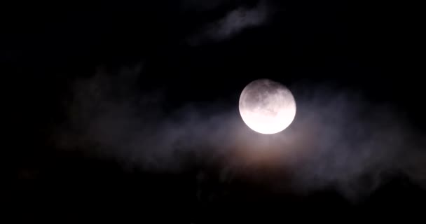 Glowing Yellow Full Moon Clouds Night Element Footage Furnished Nasa — Stock Video