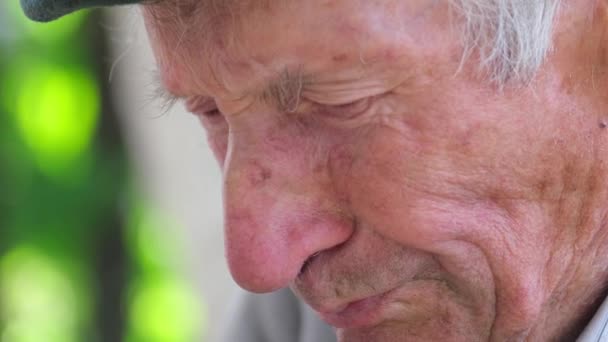 Δυστυχώς Γέρος Συγκινήθηκε Παππούδες Βλέπουν Από Κοντά Ζωές Των Ηλικιωμένων — Αρχείο Βίντεο