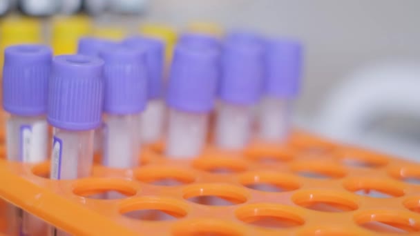 实验室用抽血设备进行分析 在实验室处理血液样本的医生 — 图库视频影像