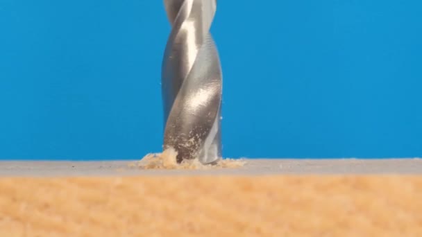 在木制表面上钻一个孔的特写 在漂亮的蓝色背景上钻一个金属钻 电动工具的宏视频 — 图库视频影像