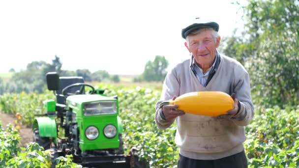 Viejo Granjero Pelo Gris Positivo Está Pie Jardín Junto Tractor — Vídeo de stock