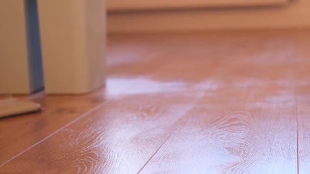 Waschlaminat Holzboden Mit Wischmopp Nassreinigung Einer Wohnung Eines Hauses Sauberkeit — Stockvideo