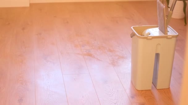 用拖把清洗层压板 木制地板 湿湿的清洁公寓 家庭的清洁 — 图库视频影像