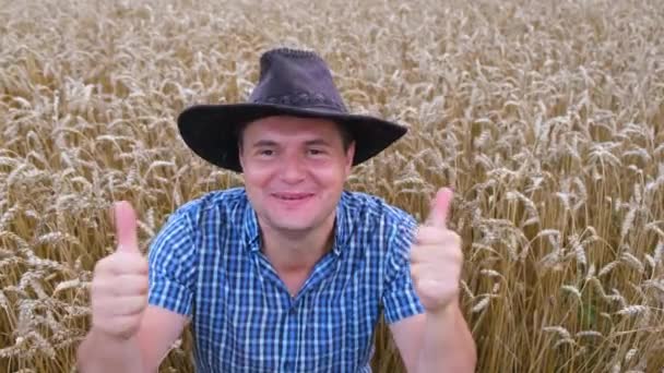 Őrülten Boldog Fiatal Mezőgazdász Kalapban Hüvelykujjával Búza Érett Fülei Között — Stock videók