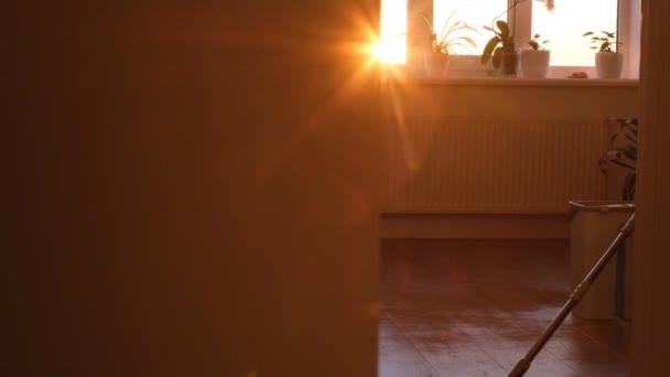 Kobieta Wyciera Kurz Pokoju Mokrym Mopem Tle Pięknego Światła Słonecznego — Wideo stockowe