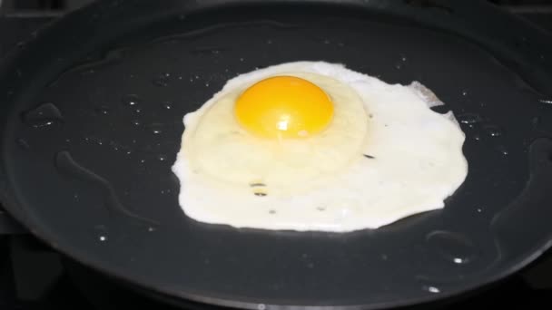 Huevo Gallina Una Sartén Negra Alimento Sabroso Saludable Proteico — Vídeo de stock