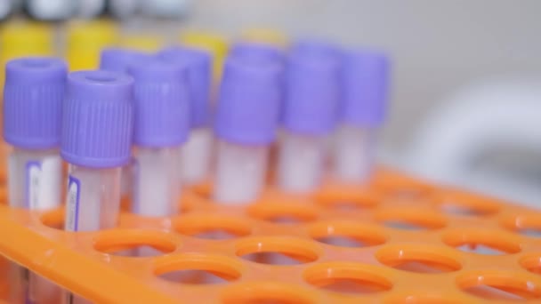 Laboratuvarlarda Analiz Için Kan Alma Ekipmanları Doktor Laboratuvarda Kan Örnekleriyle — Stok video