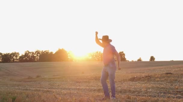 Gelukkige Boer Dansend Het Veld Bij Zonsondergang Tarwe Oogsten Plattelandsbedrijf — Stockvideo