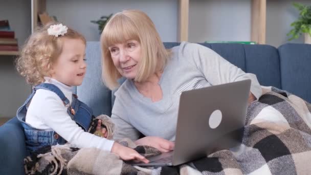 Uma Avó Passa Tempo Com Sua Neta Eles Brincam Olham — Vídeo de Stock