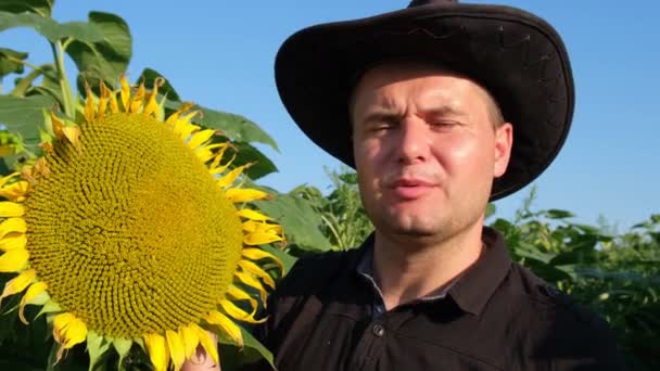Młody Rolnik Polu Słonecznika Demonstruje Mówi Żniwach Uprawa Słonecznika Produkcji — Wideo stockowe