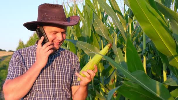 Agricultor Feliz Mostrando Colheita Milho Falando Smartphone Cultivo Culturas Respeitadoras — Vídeo de Stock