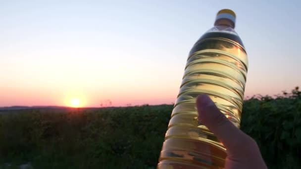 Butelka Oleju Słonecznikowego Pięknym Zachodzie Słońca Polu Reklama Oleju Słonecznikowego — Wideo stockowe