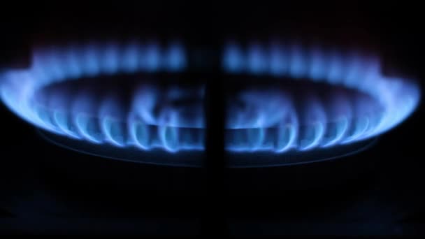 一个带有蓝色火焰的厨房煤气炉 黑暗背景下燃气灶蓝色火焰的缩放视频 — 图库视频影像