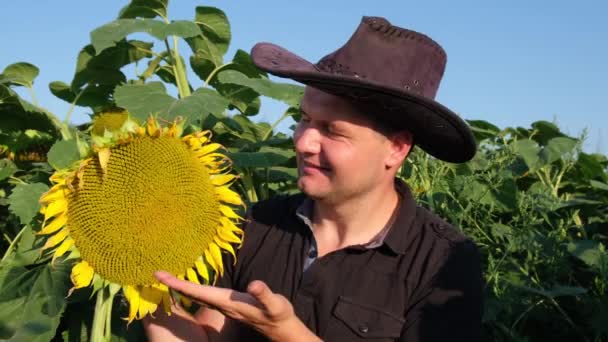 Щасливий Фермер Стоїть Соняшниковому Полі Перевіряє Урожай Сільськогосподарська Концепція — стокове відео