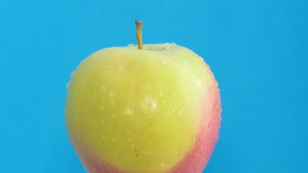 薄い青の背景に新鮮な湿ったリンゴのクローズアップ 回転する緑とピンクのリンゴの拡大画像 — ストック動画