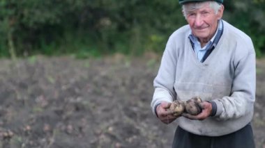 Kendi bahçenizden patates toplayın. Yaşlı yorgun bir büyükbaba yerde duruyor ve patates gösteriyor. Yaşlıların işi.