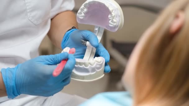 Médico Usa Escovas Dentes Modelos Dentes Para Demonstrar Maneira Correta — Vídeo de Stock