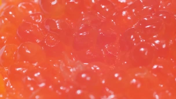 Roter Kaviar Großaufnahme Lachsrogen Drehen Sich Kreis Köstliche Gerichte Für — Stockvideo
