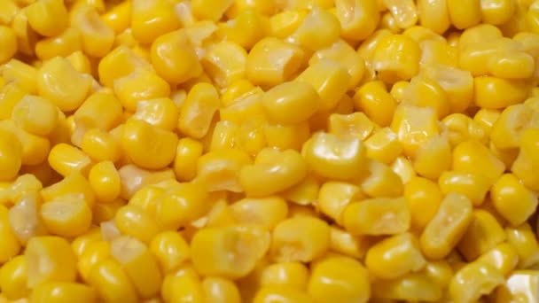Zbliżenie Gotowanych Nasion Kukurydzy Kręcących Się Kółko Wideo — Wideo stockowe