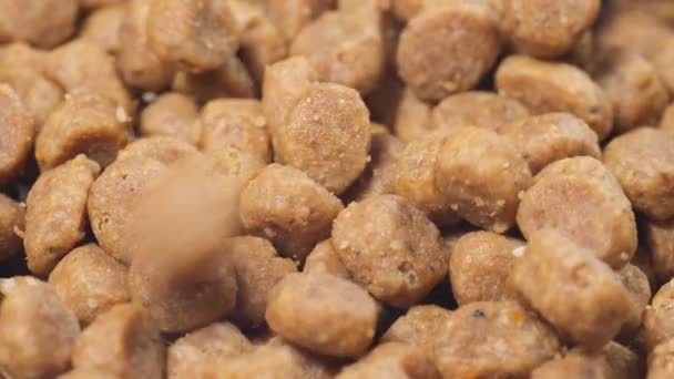 Comida Cão Seca Gira Círculo Comida Cão Deliciosa Publicidade Alimentos — Vídeo de Stock