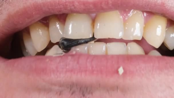 ひまわりの種を食べる男の顔のクローズアップ 歯のための有害な食品 マクロビデオ — ストック動画