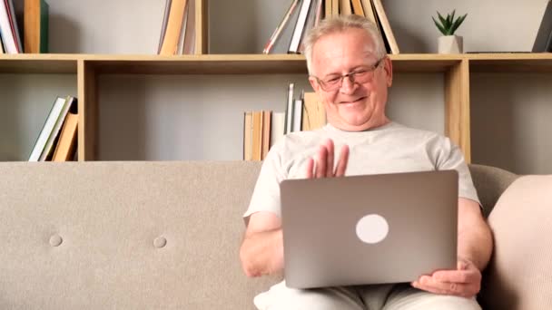Portret Van Een Glimlachende Grootvader Met Grijs Haar Zittend Bank — Stockvideo