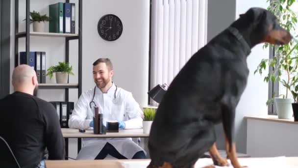 Dog Its Owner Being Examined Veterinarian Large Purebred Dog Sits — Stock Video