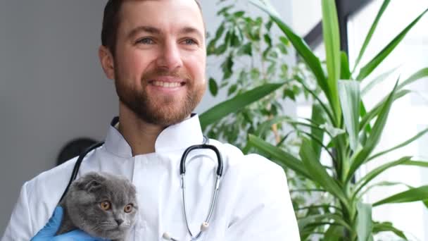 Porträt Einer Schönen Zufriedenen Tierärztin Büro Mit Einer Grauen Katze — Stockvideo