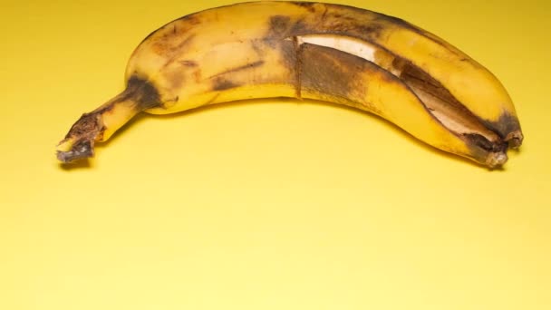 黄色の背景に腐ったバナナ こぼれた果物だ 体を中毒させる危険性 — ストック動画