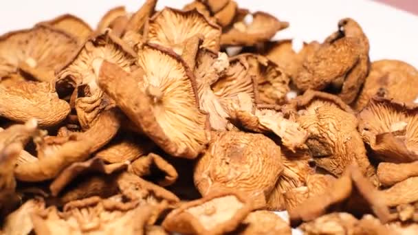 Hallucinogenic Mushrooms Rotate Circle Psychoactive Psilocybin Mushrooms Dried Forest Mushrooms — Stock Video