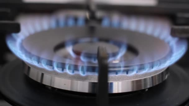 燃烧过程中煤气炉的放大图像 用天然气烹调的炉子 — 图库视频影像