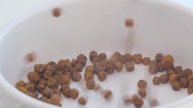 Beyaz bir tabağa kedi maması dökmek. Kediler için kahverengi granüler yiyecek. Evcil hayvanlar için yemek