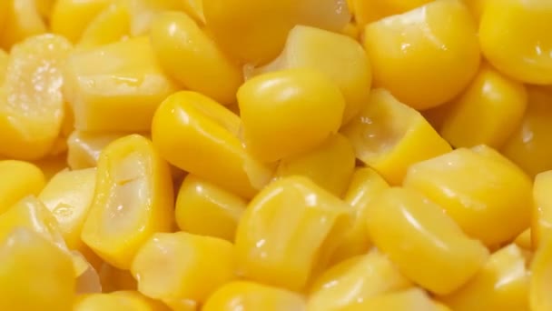 Boiled Corn Seeds Macro Large Number Corn Kernels Rotate Circle — Stock Video