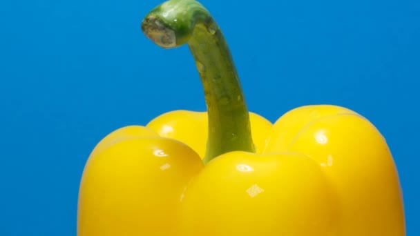 Крупним Планом Жовтий Перець Кружляє Колу Смачні Свіжі Овочі Відео — стокове відео